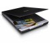 Epson Perfection V19