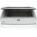 Epson Expression 12000XL