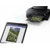 Epson SureColor SC-P800