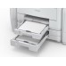 Epson WorkForce Pro WF-R5190DTW (RIPS)